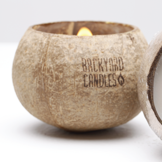 Indoor Candle: Coconut Bowl: 12oz: Wood Wick