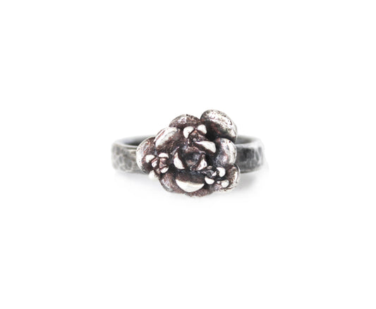 Ring: Large succulent: antique silver: size 5