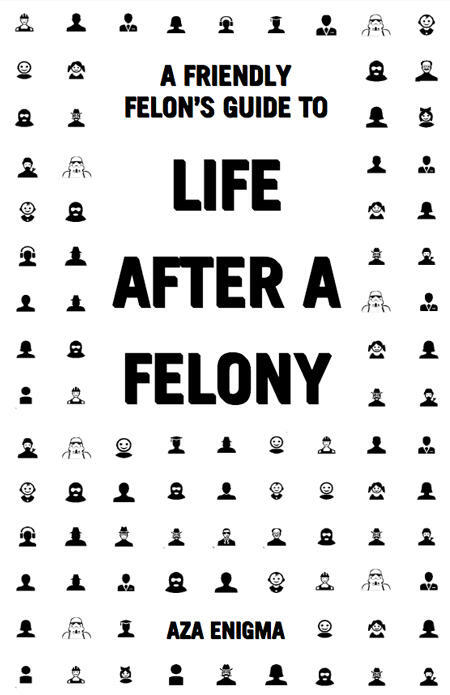 Friendly Felon's Guide to Life After a Felony, A