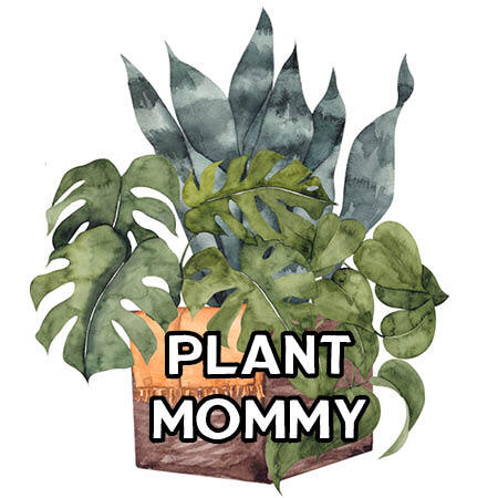 Plant Mommy